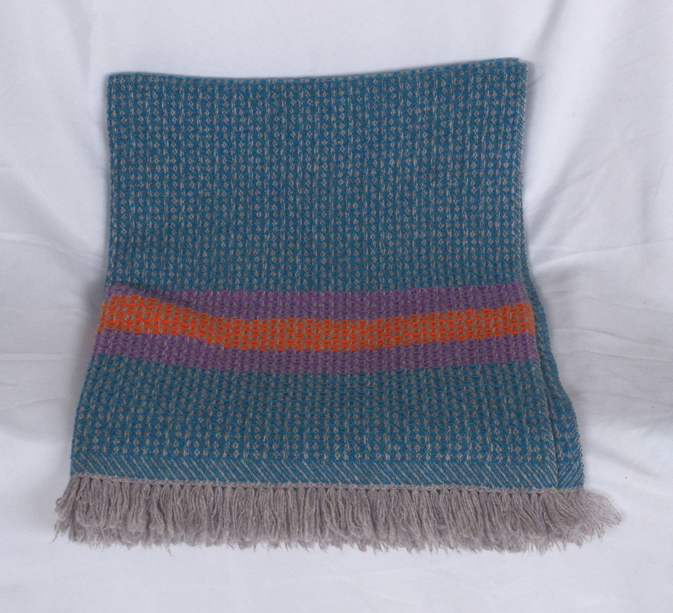 Barracuda-Clematis-Tumeric - Image 3