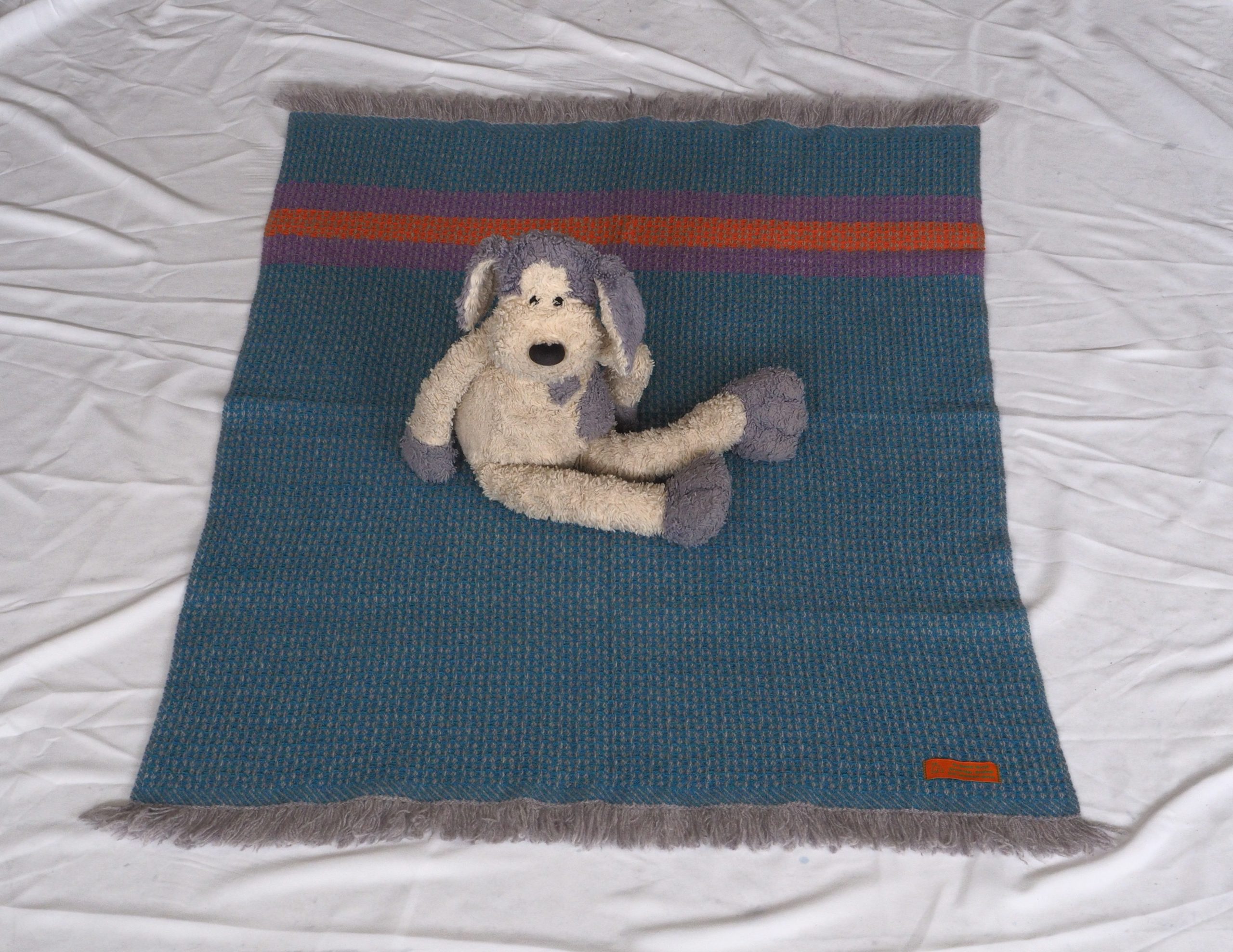 Barracuda-Clematis-Tumeric