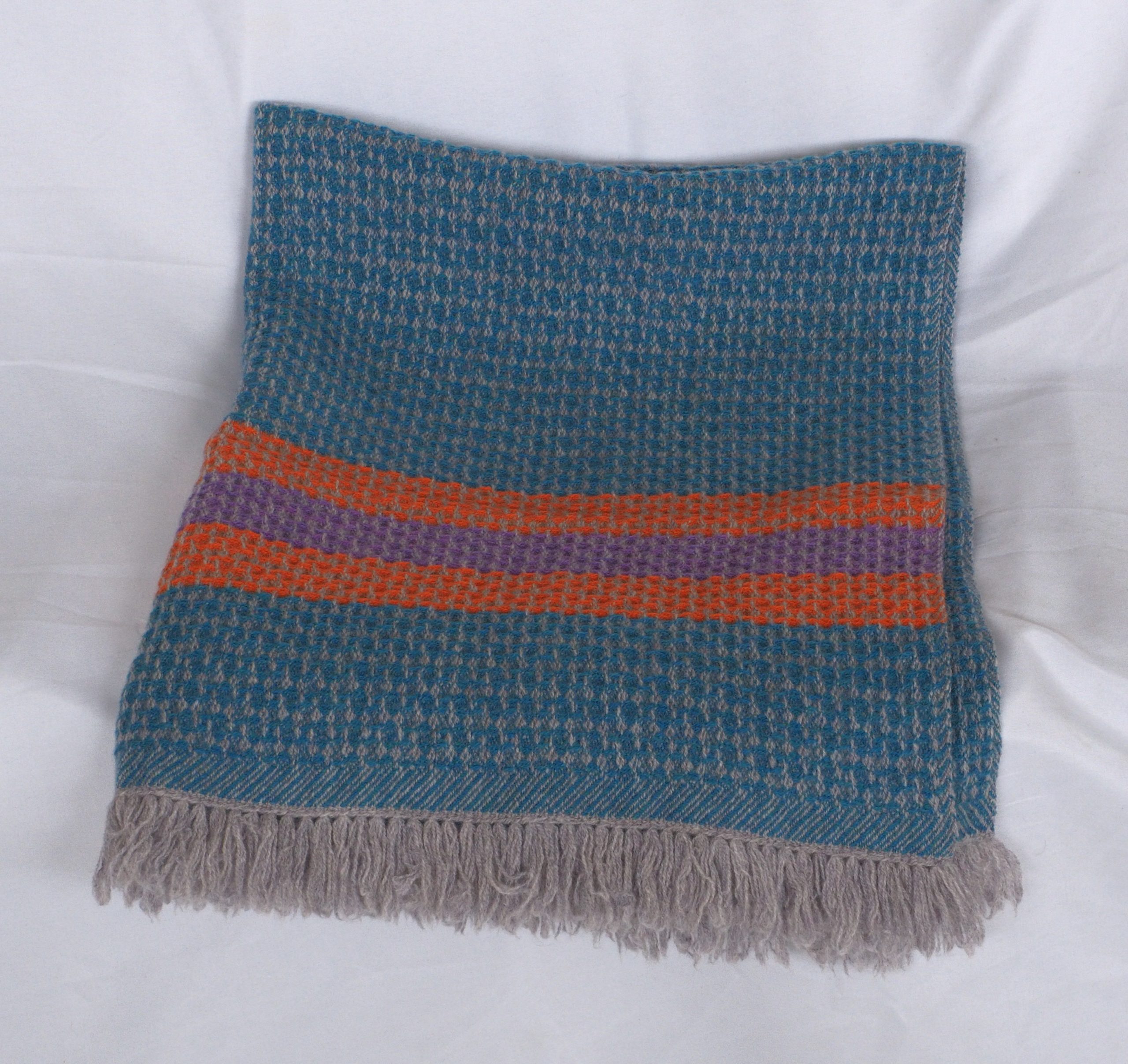 Barracuda-Tumeric-Clematis - Image 3