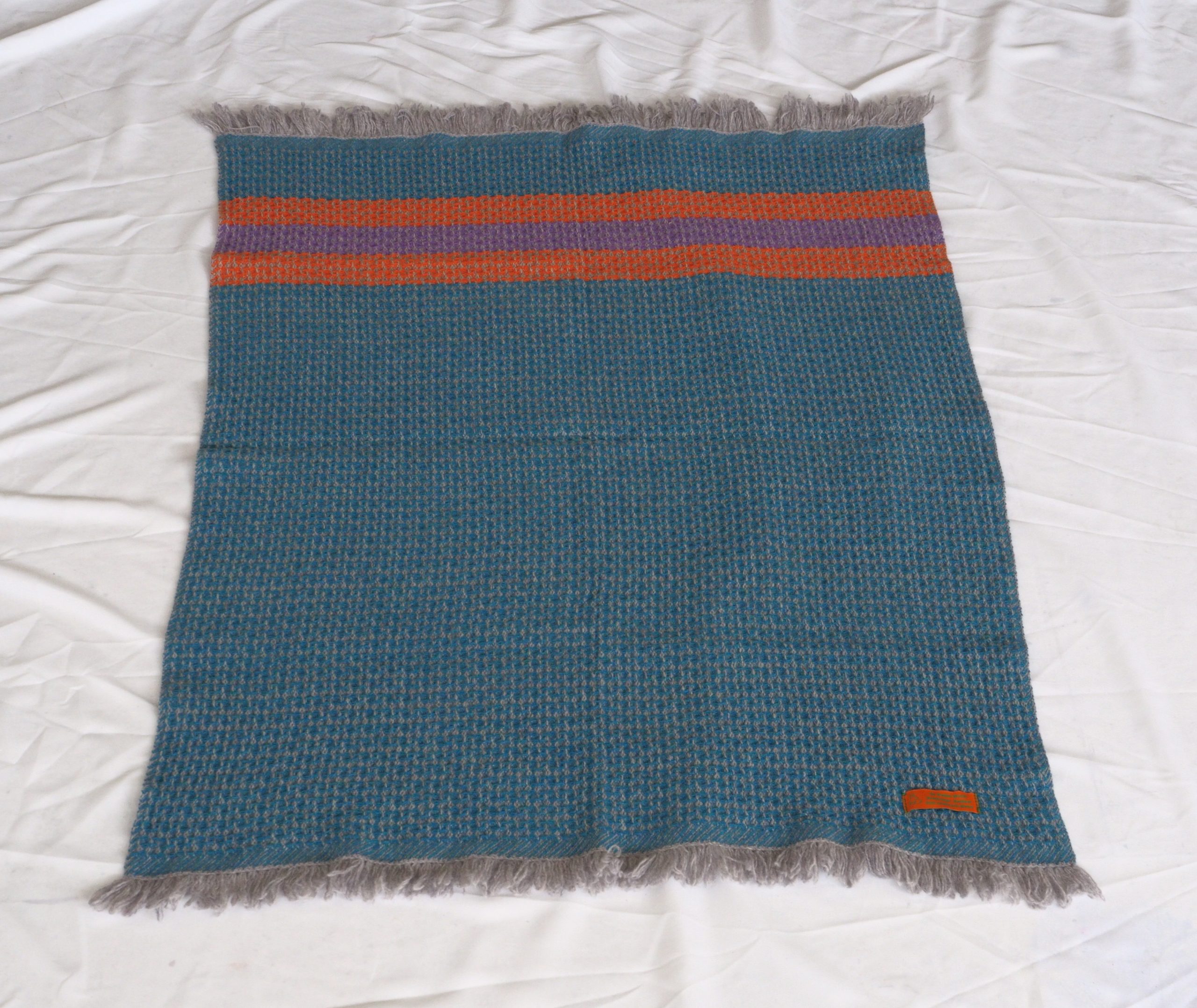 Barracuda-Tumeric-Clematis - Image 2