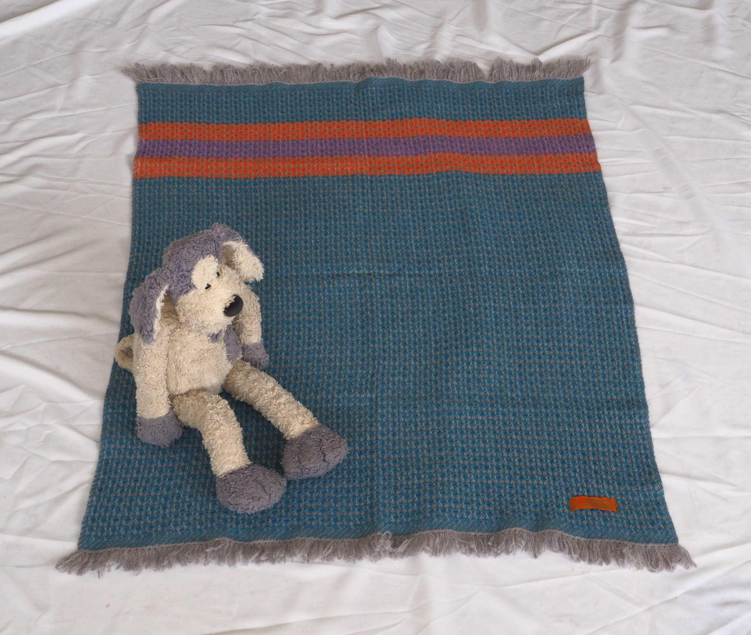 Barracuda-Tumeric-Clematis