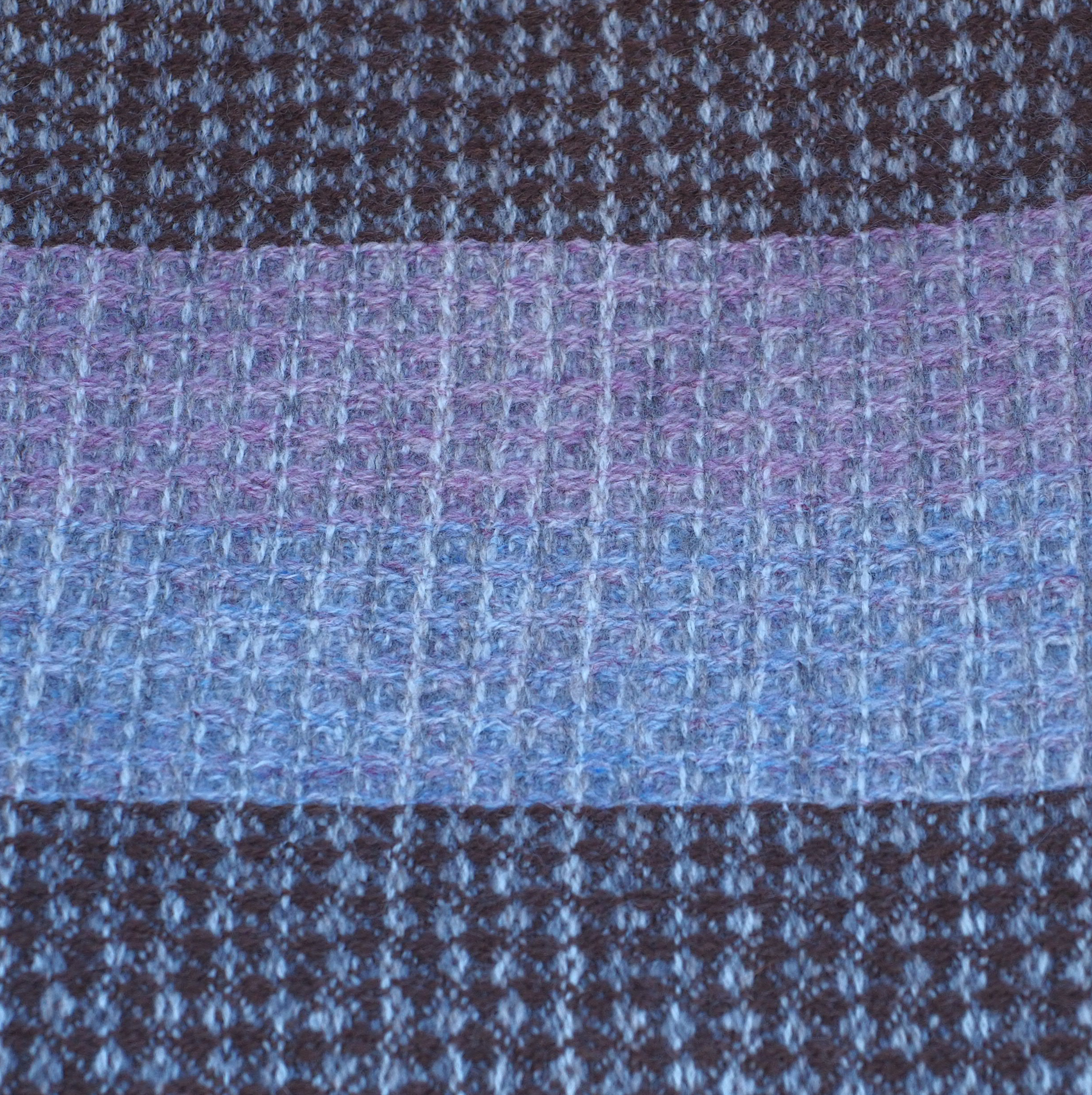 Moorit-Grape-Clematis - Image 3