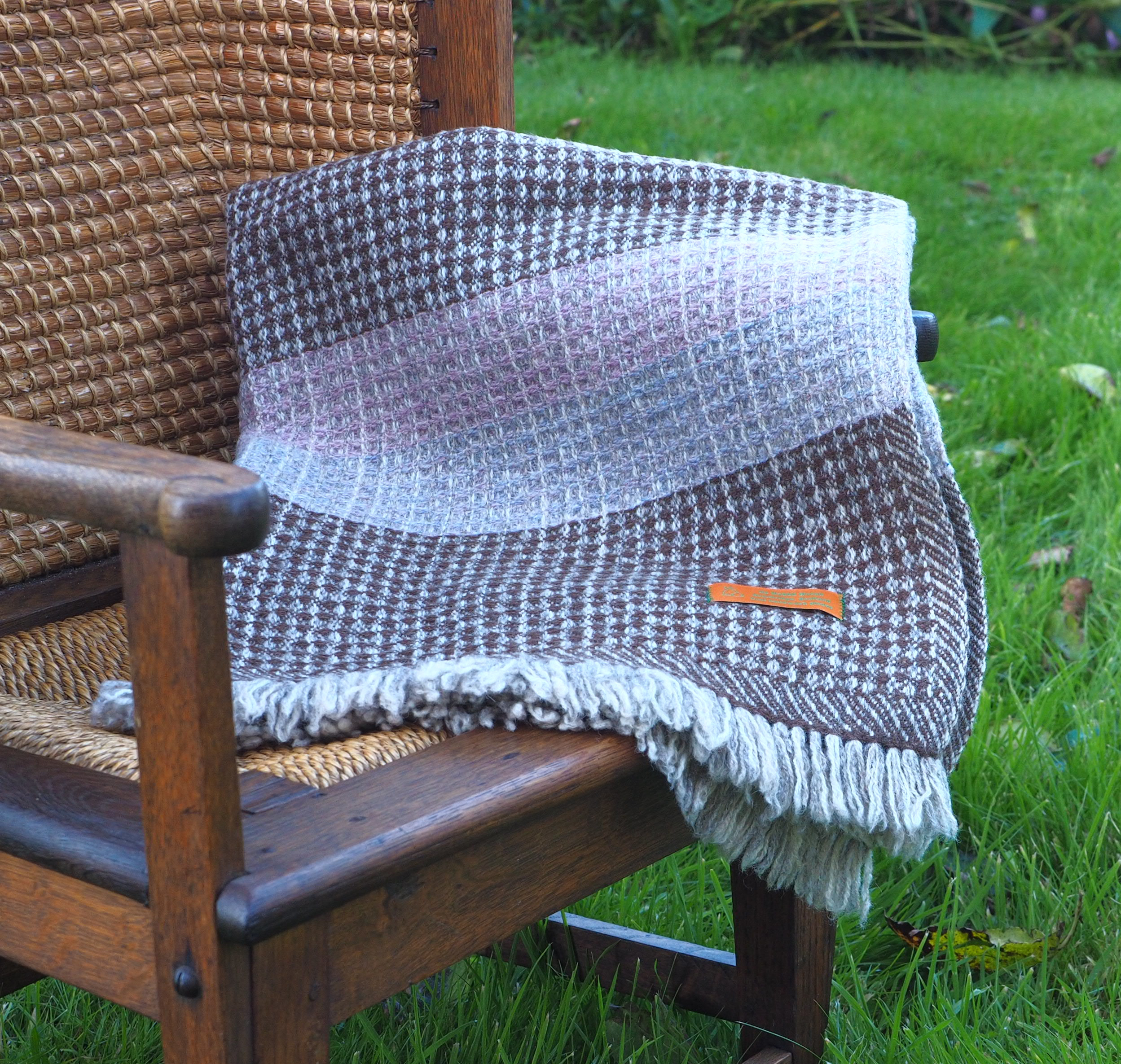 Moorit-Grape-Clematis