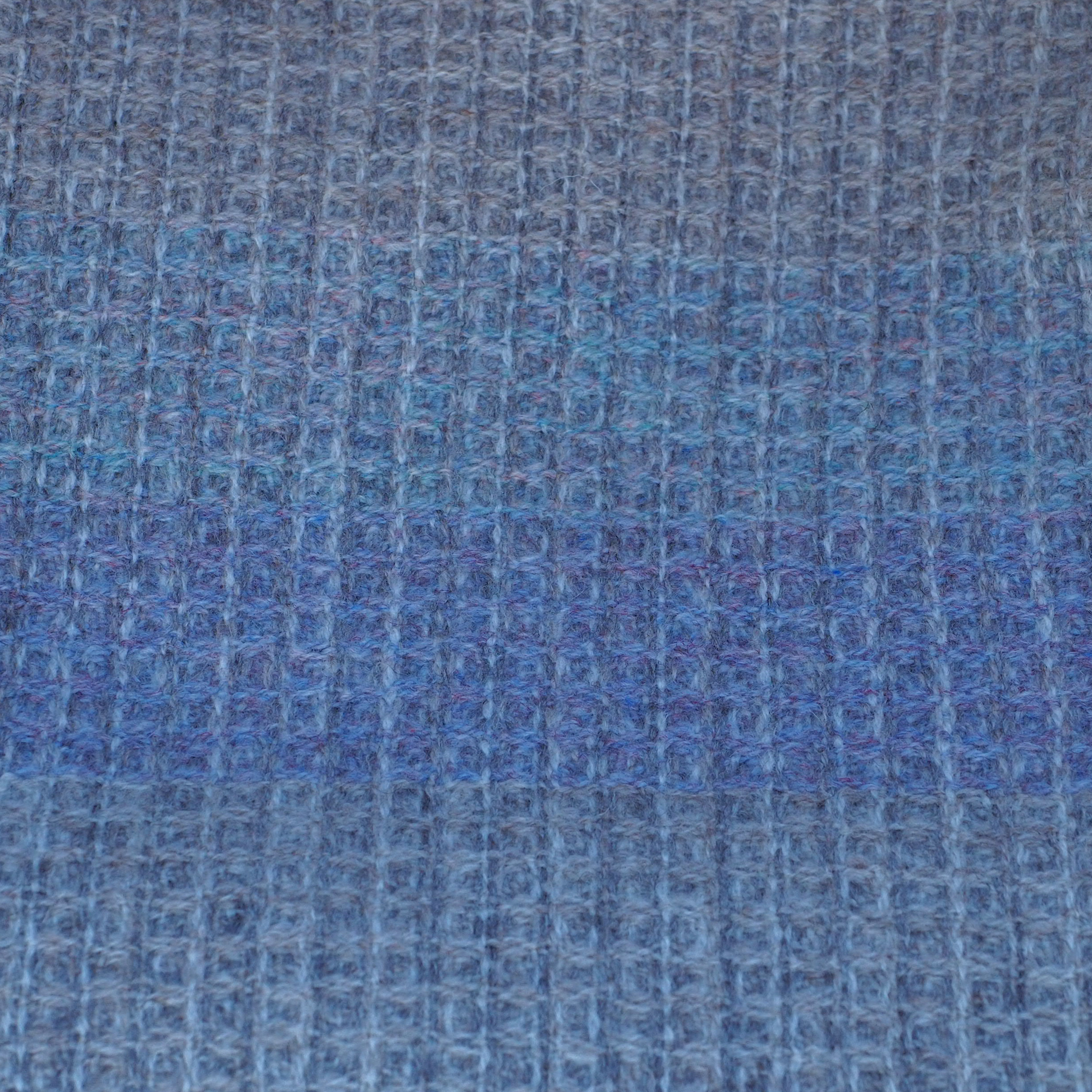 Eesit-Opal-Clematis - Image 3