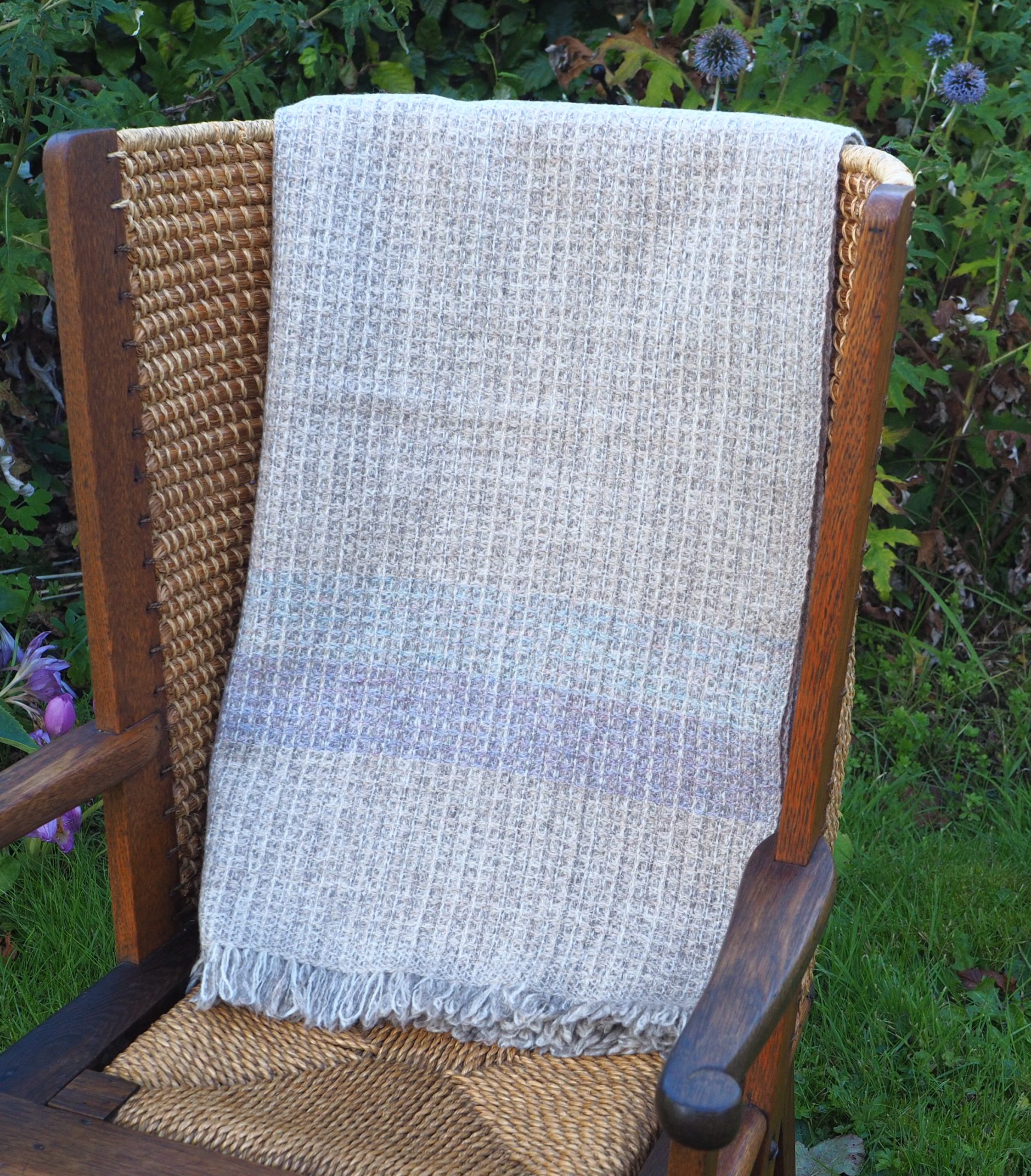 Eesit-Opal-Clematis - Image 2